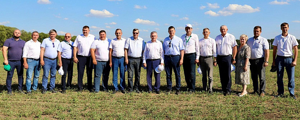 День поля ВНИИМК-2024