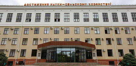 Победители грантовых конкурсов