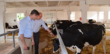 Starting of new management project at the faculty of zootechnologies and management