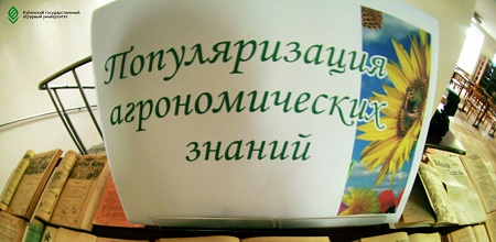 Все на выставку!
