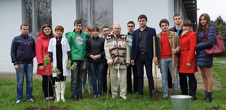Сирень Победы
