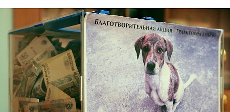 Траектория добра КубГАУ