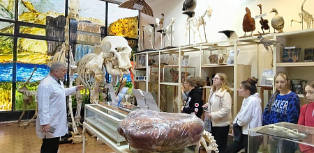 Школьники в гостях у ветеринарного факультета